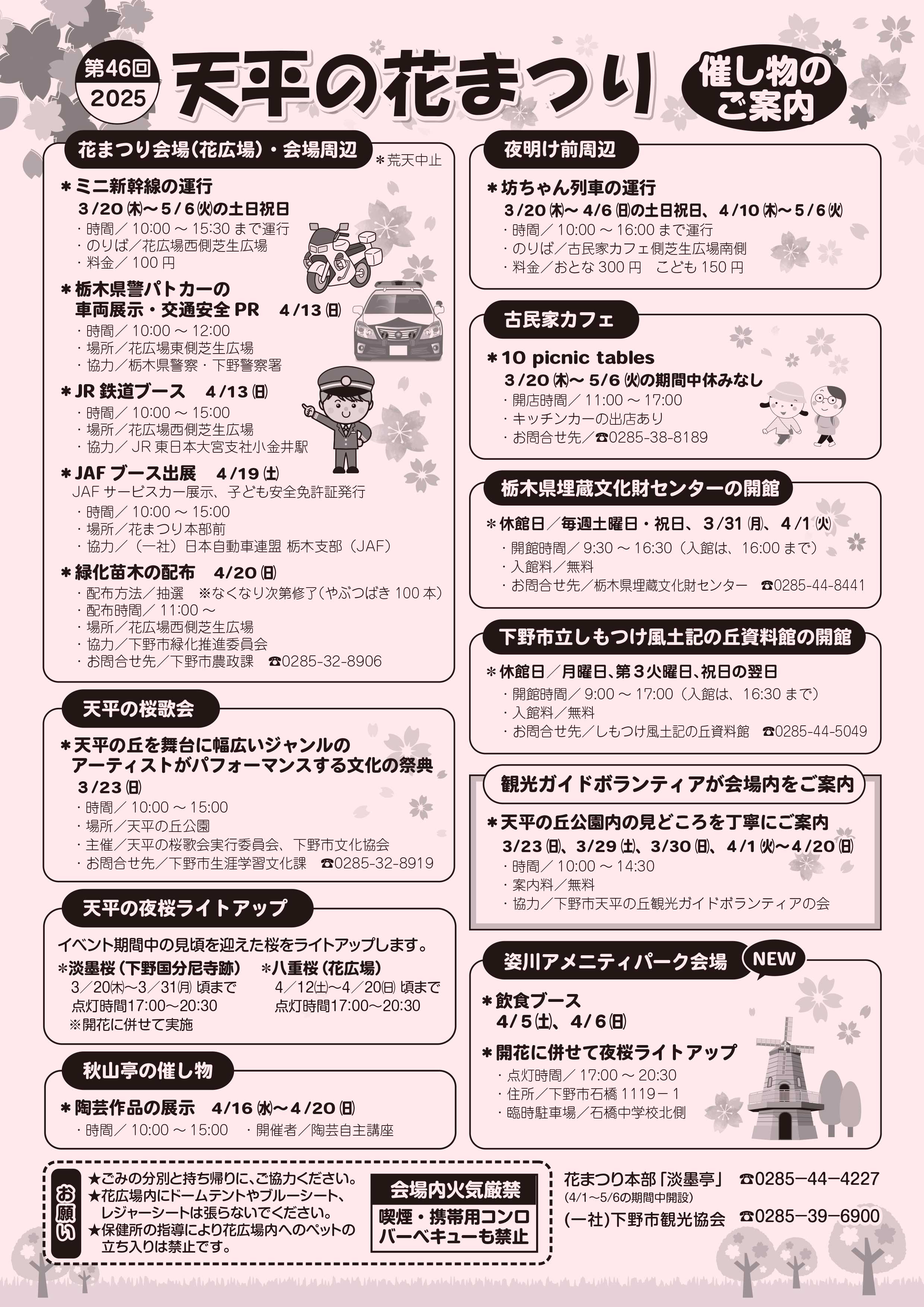 展示中 可愛いボタン桜?（京都生花株式会社）