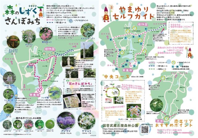 森園はく 5点お取り置き 緑のふるさと森林公園／恵庭市ホームページ