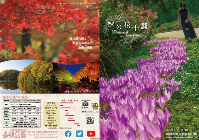 秋の花十選』を配布しています | 国営武蔵丘陵森林公園 ｜ 全国で初めての国営公園