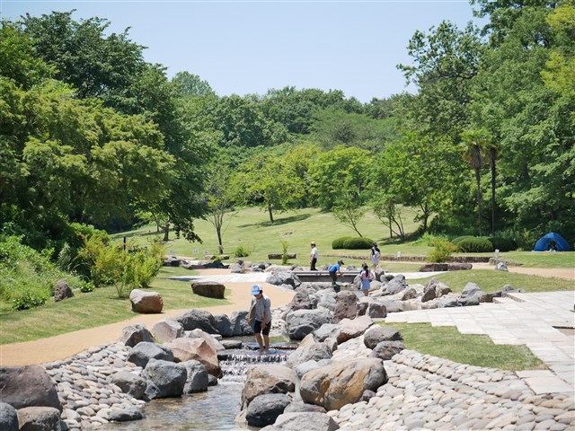 公園 小学生 盗撮 遊ぶ | 国営武蔵丘陵森林公園 ｜ 全国で初めての国営公園