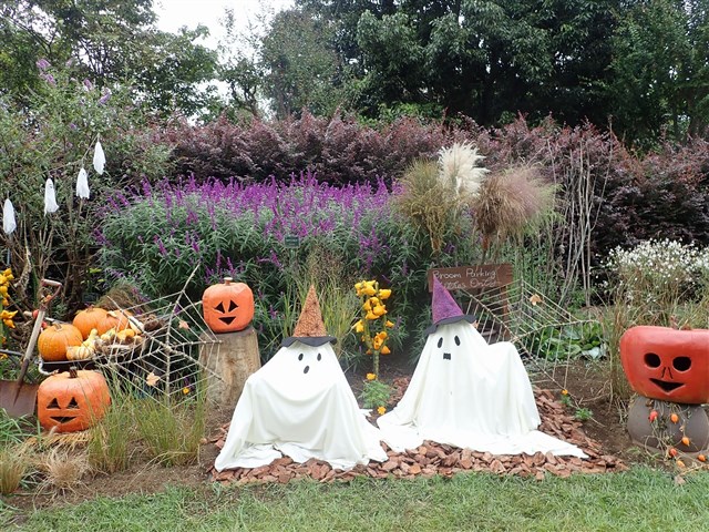 ハーバリウム ＊しずく＊ グリーンフォレスト スウィートピンク 春待ち