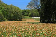 森林公園について | 国営武蔵丘陵森林公園 ｜ 全国で初めての国営公園