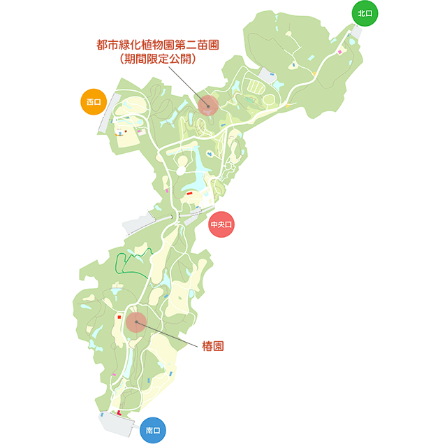 椿・山茶花 | 国営武蔵丘陵森林公園 | 全国で初めての国営公園 椿・山茶花 | 国営武蔵丘陵森林公園 | 全国で初めての国営公園
