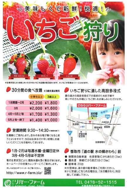 さわらリバー・ファーム（いちご狩り農園） | 水郷佐原観光協会