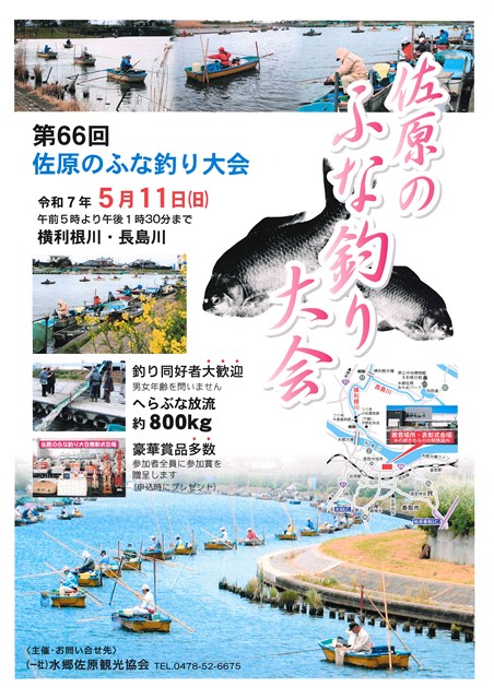 マコモ苗300本 富士山のキレイな水で育ちました！ （ポケットマルシェ 