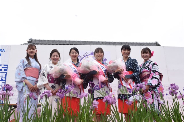 コスモスまつり 水郷佐原観光協会