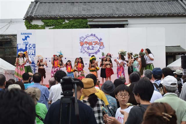 コスモスまつり 水郷佐原観光協会