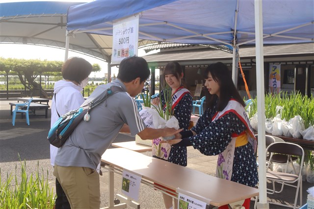 令和5年度あやめ祭り後記 | 水郷佐原観光協会