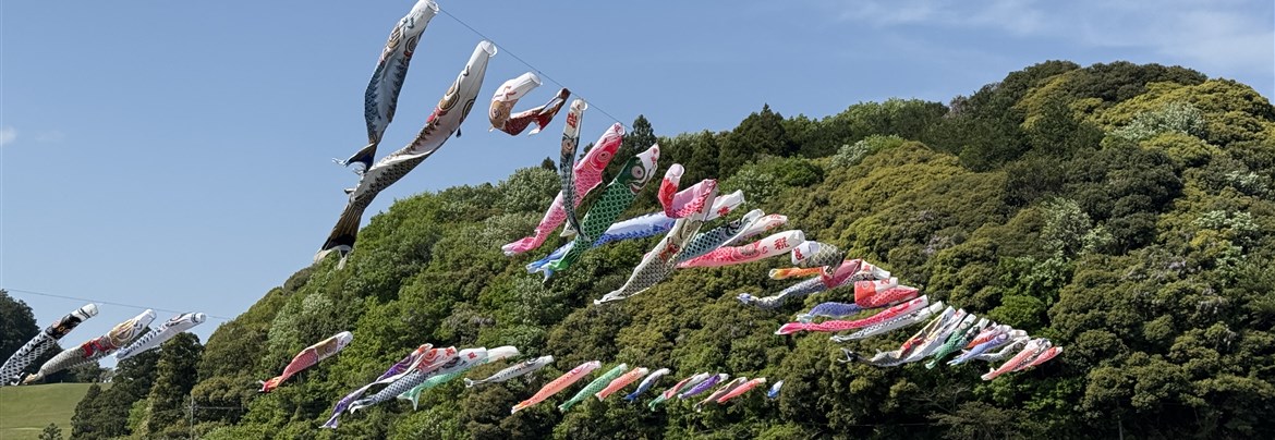 鯉のぼりまつり開催 | 水郷佐原観光協会