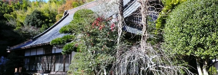 華道 花材 水坪 銅製 19本 待ち構え