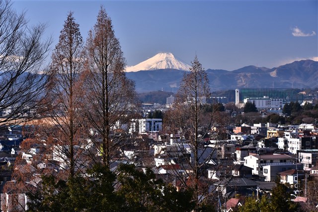 瑞穂町からの富士山 | 瑞穂町観光情報サイト