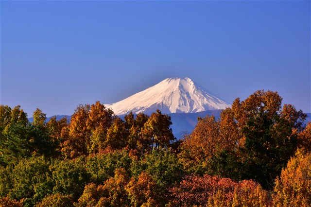 瑞穂町からの富士山 | 瑞穂町観光情報サイト